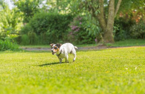 3 Bed in Launceston oc-l31001 - Foto 23