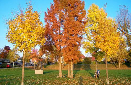 Badische Landoase - Foto 30