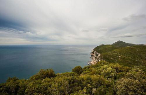 Casa Fresca Serra - Vila Fresca Azeitão - Arrábida - Foto 23