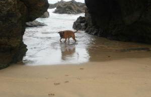 Apartamentos Rurales el Ferreirón - Foto 37