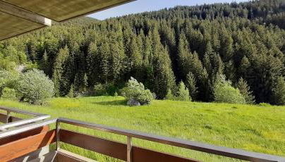 DOMUS ALPINA - Foto 4