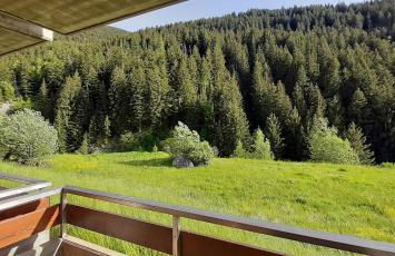 DOMUS ALPINA - Foto 4