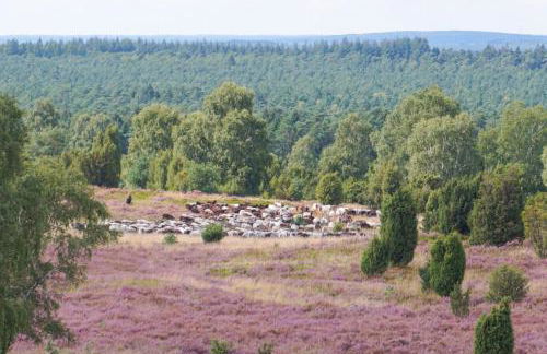 Ferienwohnung Nina - Foto 14