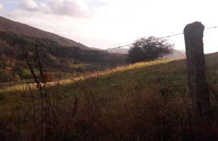 Apartement Unten im Dorf - Foto 19