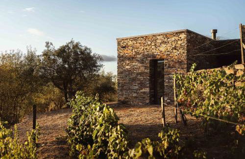 Quinta Vale das Papas - Foto 41