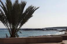 Estudios Nandy - Foto 12