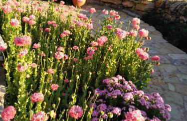 Casa Rural Caseta de l' Hort - Foto 20