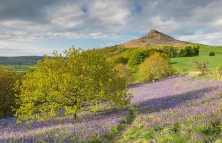 Grange Cottage - Foto 46