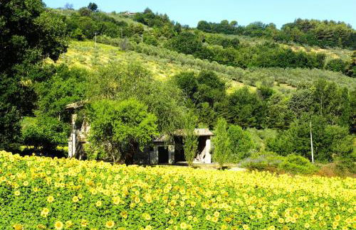 Appartamenti Verde Collina Umbra - Foto 2