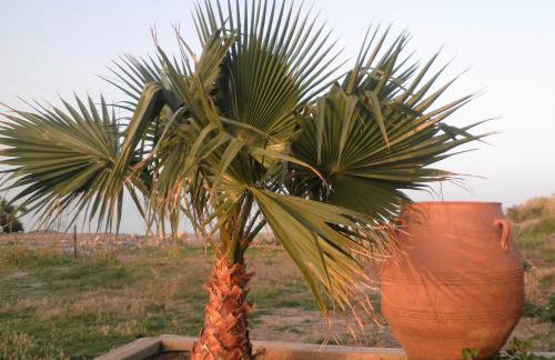 Haridimos Apartments - Foto 39