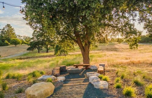 The Hive House at Castoro Cellars - Foto 21