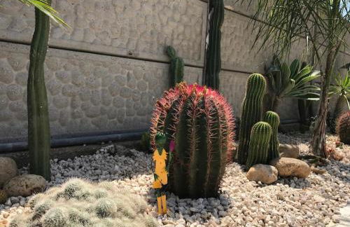 Scala dei Turchi The White Wall - Foto 27