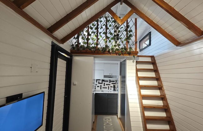 TİNY MİNİ HOUSE - Foto 6