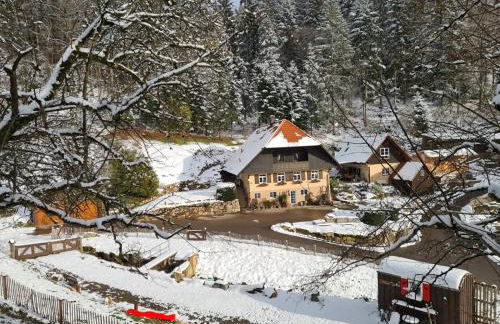 Rechenpeterhäusle - Foto 16