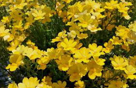 Casa Marietta - Foto 23