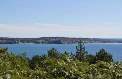 Maison neuve 4 personnes TELGRUC SUR MER 2 chambres - Foto 28