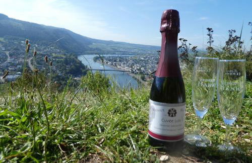 Hausboot Moselrose in Pölich - Foto 50