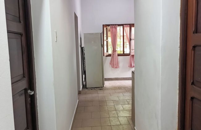 Entre Mangos y Tucanes - Foto 2