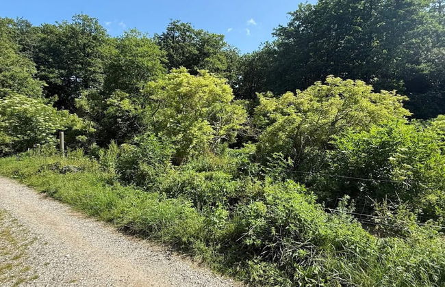 7 Person Holiday Home in Kirke Hyllinge-by Traum - Foto 20