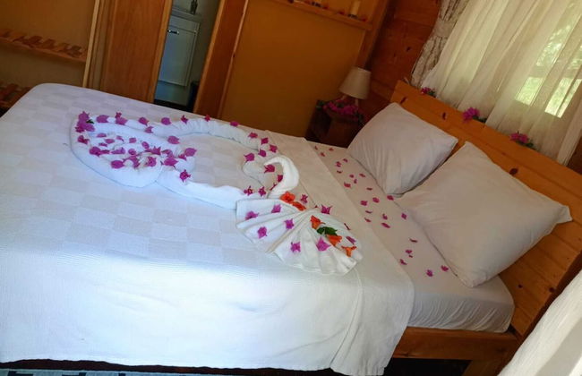 Kelebekler Vadisi Butterfly Valley - Foto 41