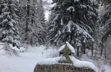 Przy Zajęczniku - Foto 16