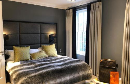 Luxury 4 Bedrooms 5 Baths 2 Receptions Family House with Garden Chelsea - Foto 23