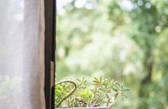 Sousa Horizonte - Louredo - Foto 20