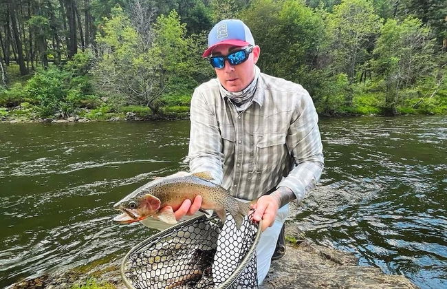 Hannon House - Photo 35