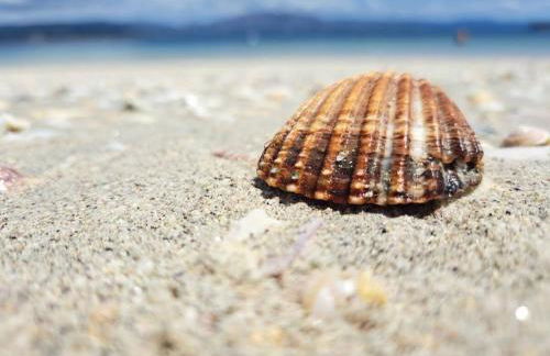 Aires da Lanzada - Foto 30