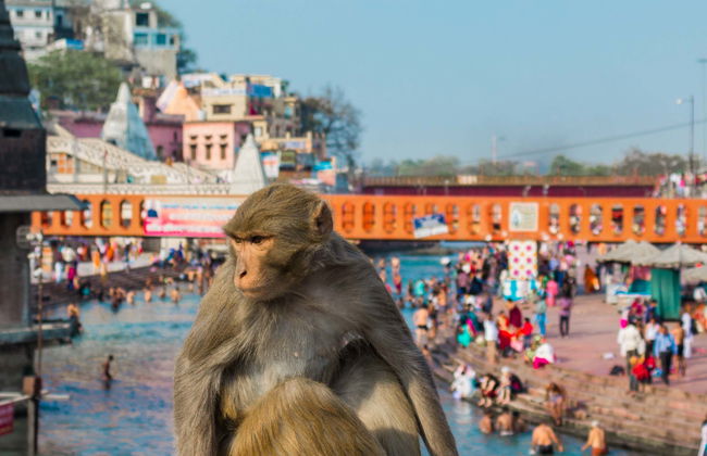 Excursion privée à Haridwar - Photo 1