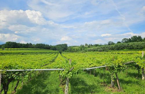 A Garda Dream Luxury Apartments - Foto 59