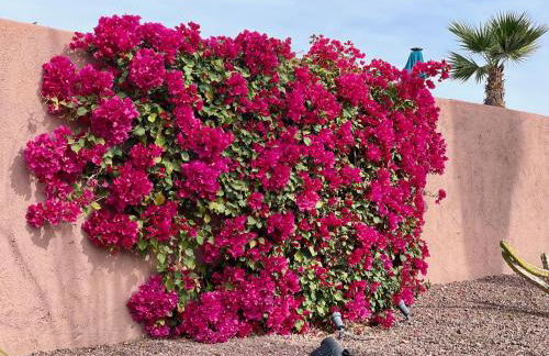 Indian Wells Resort Home with Private Saltwater Pool - Foto 52