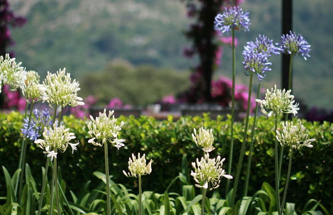 Agroturismo Son Siurana - Photo 64