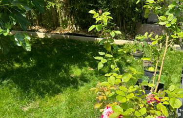 Studio calme et central - Foto 8