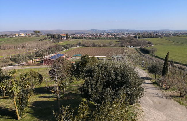 Agriturismo Zugarelli - Foto 65