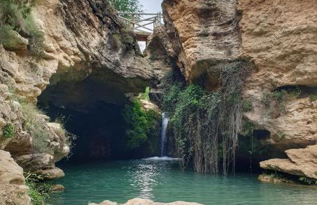 Casa de la Orden La Quintaesencia de Bullas - Foto 13