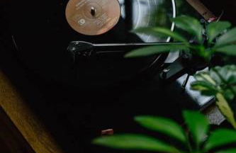 Wildland Zen Den Tiny House Retreat with Fireplace Grill AC Hammock Record Player Musical Instruments Pets OK - Foto 22