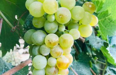 Rocca di Corno Guest House - Photo 29