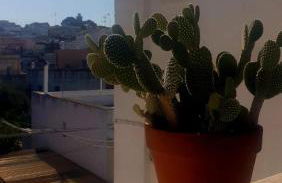 M&G Maison - Foto 27