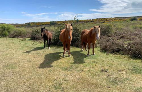 Spacious 5BR Home Near New Forest & Coast - Parking - Sleeps 10 - Photo 51