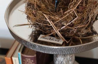 Nest Stay By The Butler Collection - Foto 48