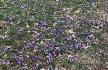 Retro Ferienwohnung mit Schlossblick im Nordschwarzwald - Foto 23