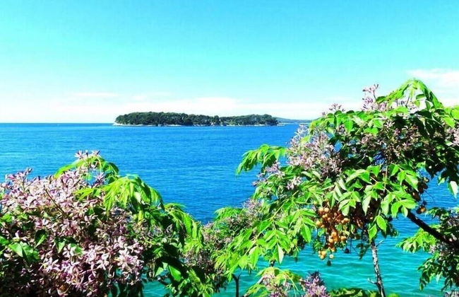 Sea of Eden - Photo 43