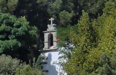 Quinta das Aveleiras - Foto 47