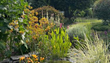 Studio GîTE COSY sur Jardin - Foto 2
