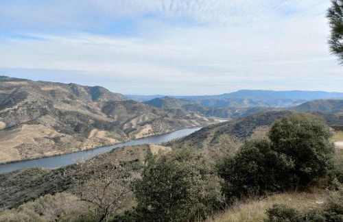 EiraDouro - Casa Oliveira - Foto 13