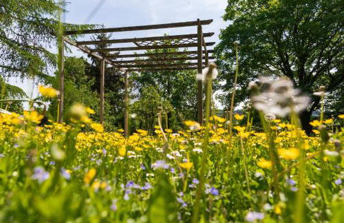 Landhaus Schnorrenberg, Wellness & Nature - Foto 56