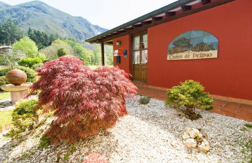 Apartamentos Camin De Pelayo - Foto 32