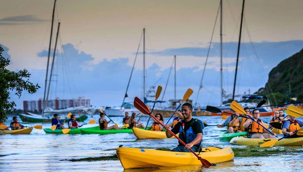 Kayaks en la bahía