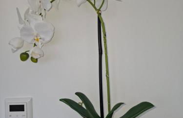 Auszeit Wunschblick - Foto 38